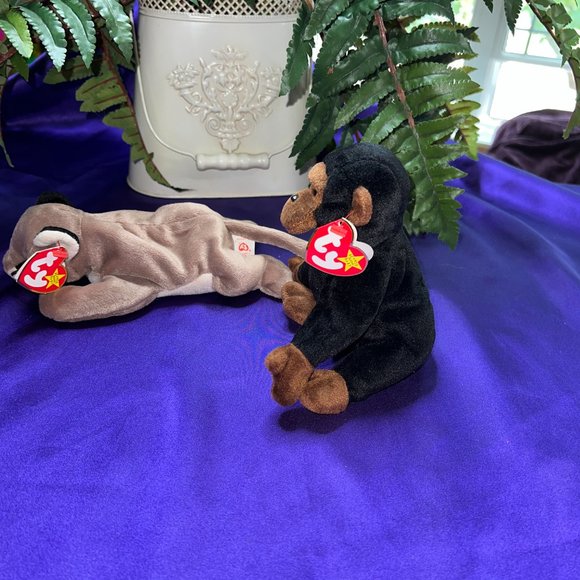 NWT & VTG📌 Ty Beanie Baby Canyon the Cougar 1998 & Congo the Gorilla 1996 - Picture 4 of 13